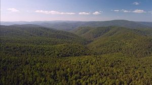 Чёрная Сопка. Красноярск