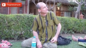 Как вырастить Туласи в домашних условиях? Как посадить и выращивать туласи? Аннада