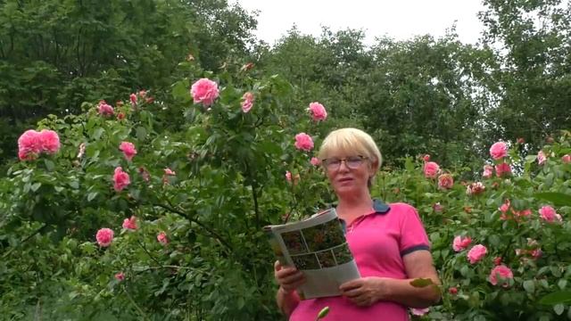 Обзор сада - история волшебного сада и прогулка по 30-летнему саду! (Московская область) смотреть онлайн