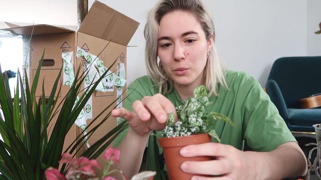 MEGA planten shoplog & unboxing (verrassingspakket) 🌿❤ смотреть онлайн