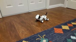 Игрушка робот собака Smart dog
