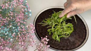 Теплый салат с хрустящими баклажанами
