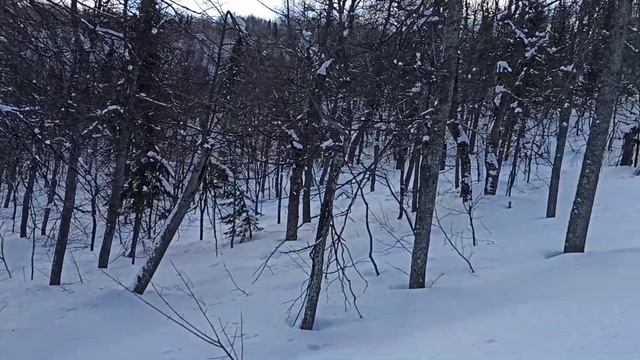 Аджигардак. Аша . Тунгус 500. Апрель 2020. смотреть онлайн