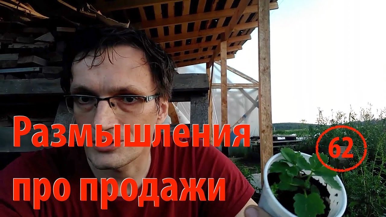 [62] Про продажи микроклонов земляники: первые впечатления и мысли по этому поводу