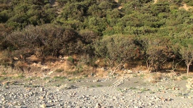 Большой Утриш на первой лагуне смотреть онлайн