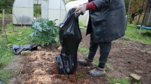1000 положительных свойств для земли и растений. Очень жалею что раньше так не делала осенью.