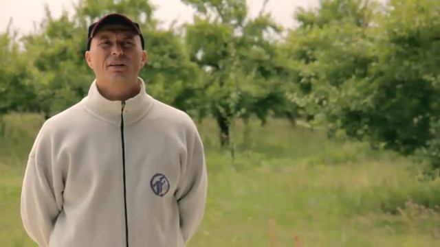 GESTION DE L'HERBE EN ARBORICULTURE - version finale смотреть онлайн