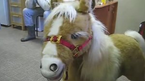 Интерактивная лошадка Ириска ест мои пальцы.