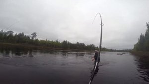 Кольский полуостров река Пана. / River Pana. Kola peninsula.