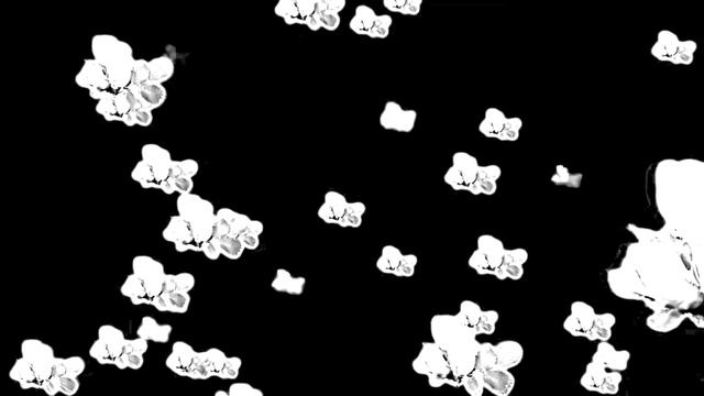 Маска для Хромакей С 8 Марта!!! Розы белые!!! смотреть онлайн