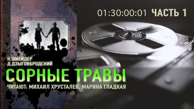 Н. Шнейдер., Д. Дзыговбродский. Сорные травы. Часть 1. Эпизод 1.