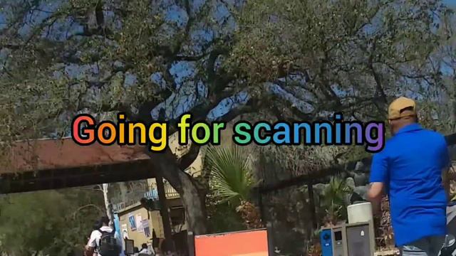 San Antonio Zoo смотреть онлайн