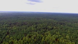 Полет над озером Глухое, Марий ЭЛ, национальный парк Марий Чодра