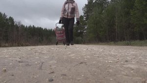 6 соток 15 ноября 2023 года. Хроника закрытия сезона.