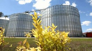 РОСВА БИОТЕХ