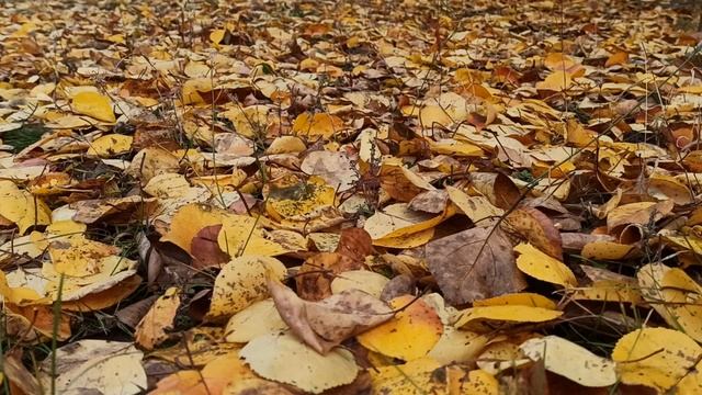 14 декабря народный праздник НАУМОВ ДЕНЬ. Народные приметы и традиции. Правила и запреты дня. смотреть онлайн