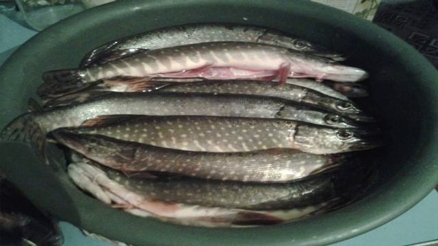 Щука Горячего Копчения смотреть онлайн