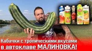 Детей за уши не оттащить! Кабачки с тропическими вкусами в автоклаве Малиновка!