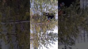 Мой друг упал с высокого места