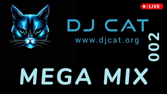 DJ CAT - MEGA MIX 002 - техно хаус драм-энд-бейс хип-хоп дабстеп - мега микс - сборник 2024 2025