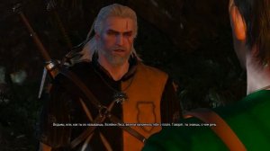 Witcher 3 Хозяйки леса Не убивать дух