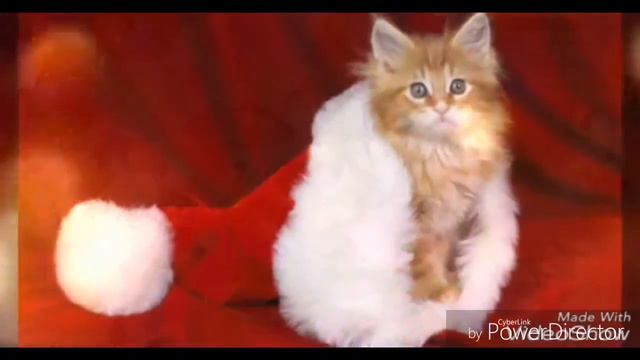 Поздравление с НОВЫМ 2017 ГОДОМ  слайд-шоу на новый год