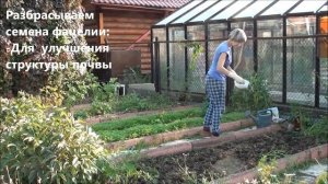 Оздоровление почвы после уборки урожая моркови