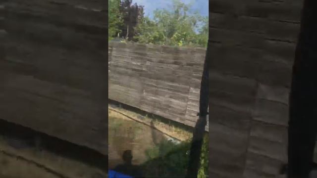 Учимся паркурить. Развороты в воздухе, кувырки и базовые навыки. смотреть онлайн