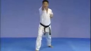 Тайкиоку Соно Ни   Kyokushin Karate