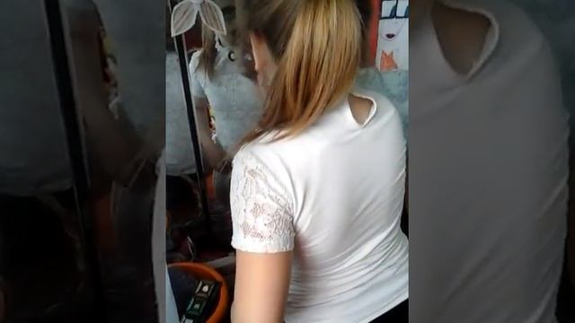 Антонюк Вика свинья но звезда ютуба (тип подруга) :) смотреть онлайн