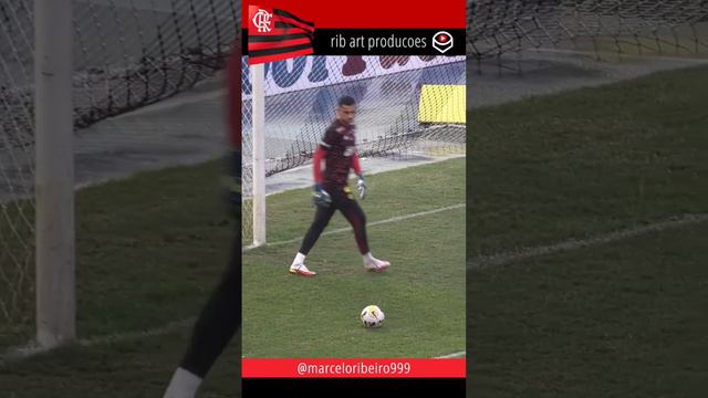 FLAMENGO Goleiro SANTOS. Esse fecha o gol. Não passa nada! #flamengo #goleiro #futebol #brasileirao