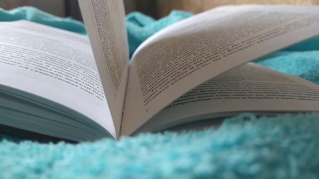Метод Сильвы. О чём книга Хосе Сильвы 