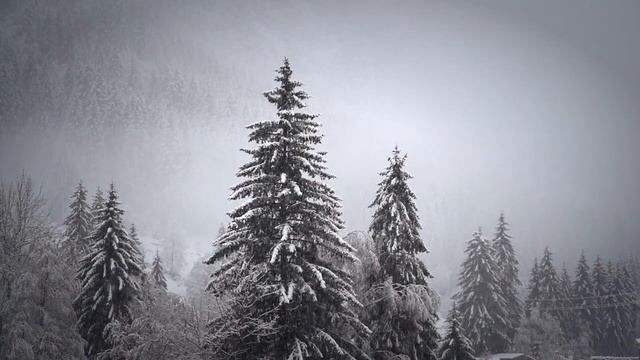 9 декабря – Юрьев день. Юрий Холодный, Егорий Зимний. Что нельзя делать?