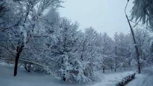 " СЕДАЯ НОЧЬ" в исполнении цыган..Здорово ,чё уж тут..