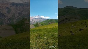 Поехали высоко в горы через село Джаба в Таргъам /смотреть до конца 😳😋😉👍