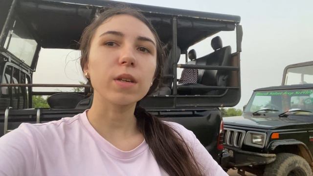 НАЦИОНАЛЬНЫЙ ПАРК ЯЛА. СМОТРИМ СЛОНОВ И КРОКОДИЛОВ. СКОЛЬКО СТОИТ?  ДЖИП САФАРИ. ШРИ ЛАНКА 2023.