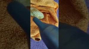 Оживляем косточку( от манго) :)