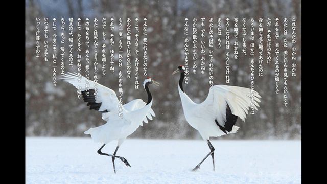 木下順二「夕鶴」より「きっと、帰ってくるのよ」日本の名文を歌おう смотреть онлайн