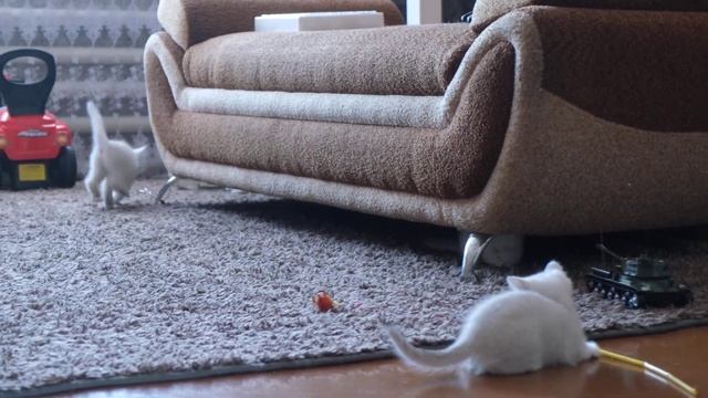 Котята выросли немножко! смотреть онлайн