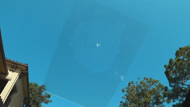 Трава и Джекичаны. Баклажановые дела. Turo бизнес в америке смотреть онлайн