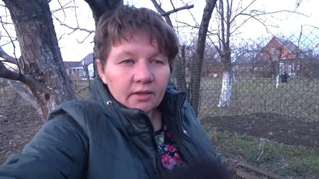 Так и живем. Я в городе. Михалыч закрылся в доме. Муська пасет кур. Сибиряки в станице. смотреть онлайн