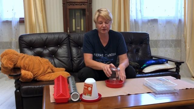 Обзор кормушек. Как сэкономить на кормах для перепелов. смотреть онлайн