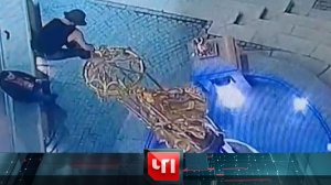 «ЧП»: 11 сентября 2023 года | «Чрезвычайное происшествие» на НТВ