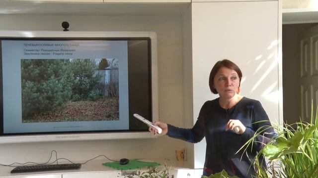 Фестиваль исторических садов. Прикладное садоводство. Под кронами деревьев