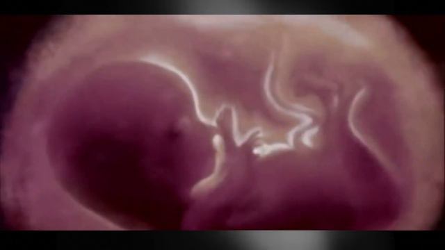 X Files - Flugelhorn cover смотреть онлайн