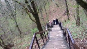 Спуск к святому источнику в Шамордино.