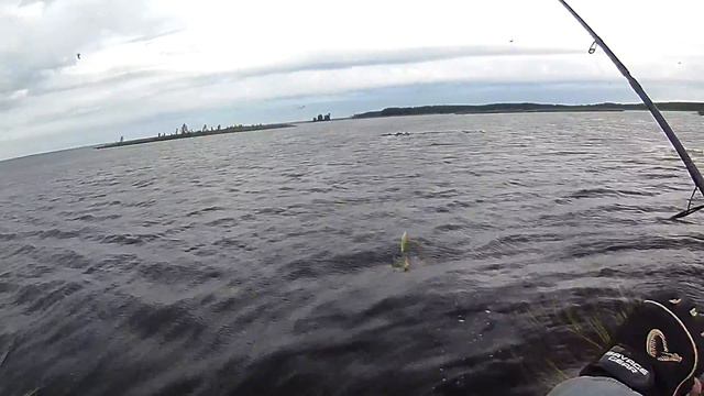 Бешеный жор окуня. Поимки на каждом забросе смотреть онлайн