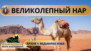 ВЕЛИКОЛЕПНЫЙ НАР. ПОСЛАННИК СУДЬБЫ. ДЛЯ ВСЕХ ➤ ВЕДЬМИНА ИЗБА