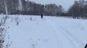 Шармакс 550 / Sharmax SN 550