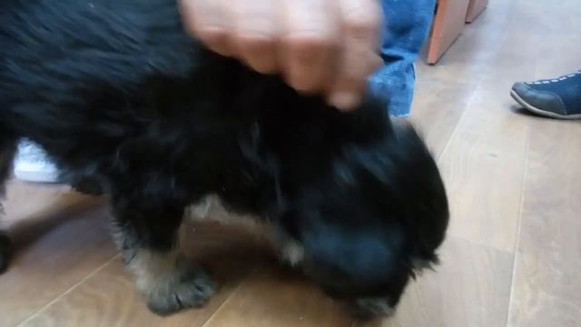 У алкаша за бутылку взял. Испуган пока. смотреть онлайн